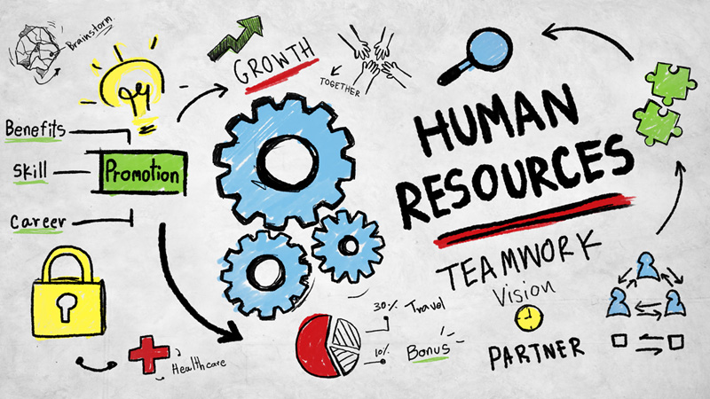 the-importance-of-human-resources-marshall-alston